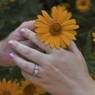 Hands with flower